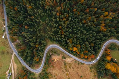 Image of Aerial view of beautiful forest and road on autumn day