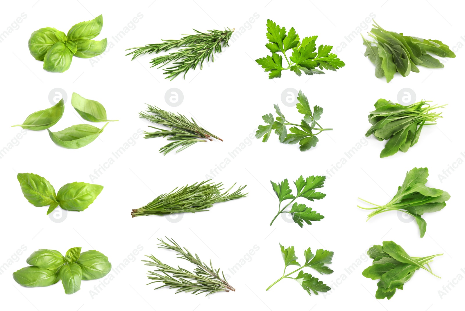 Image of Set with different herbs on white background