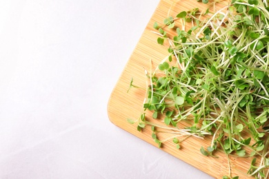 Fresh organic microgreen on white table, top view. Space for text