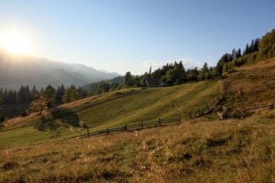 Photo of Morning sun shining over pasture in mountains