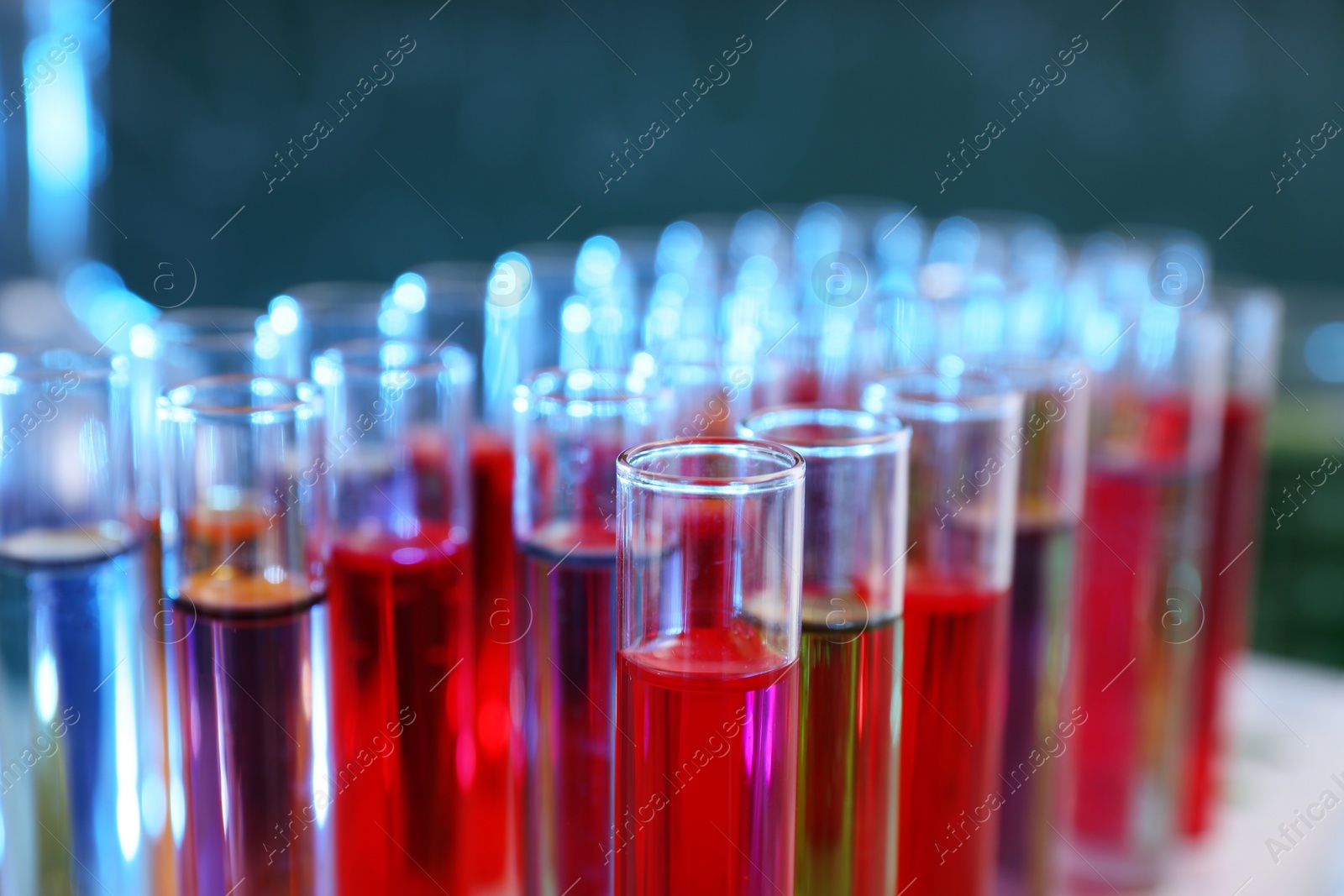 Photo of Test tubes in rack against blurred background, closeup. Chemistry glassware