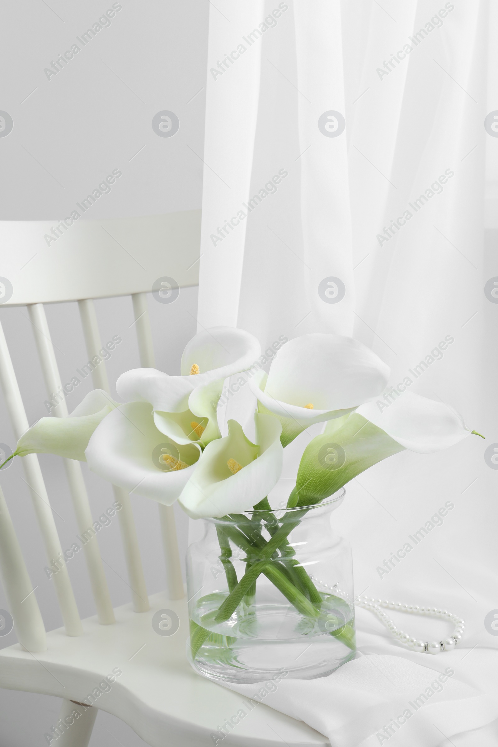 Photo of Beautiful calla lily flowers in glass vase on white chair indoors