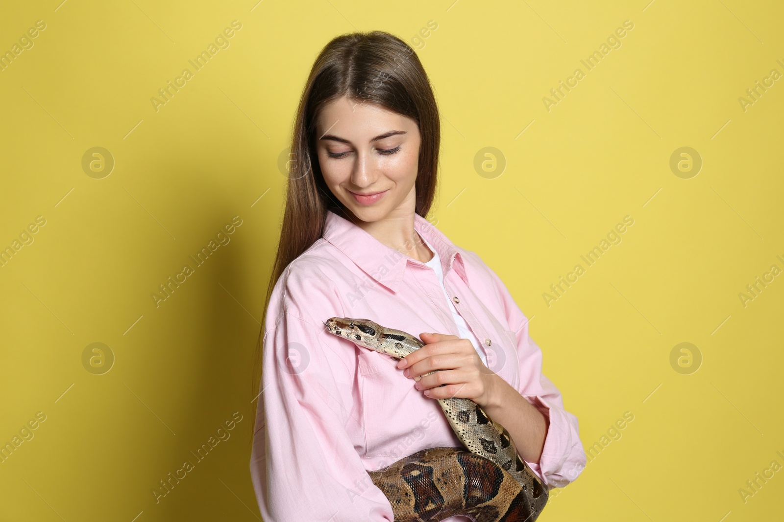 Photo of Young woman with boa constrictor on yellow background. Exotic pet