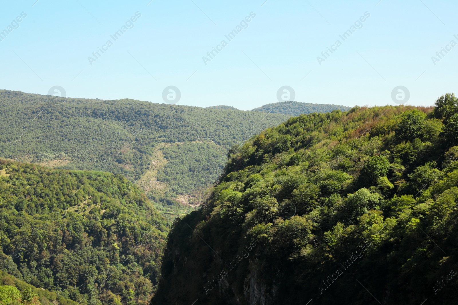 Photo of Picturesque view of forest in mountains under beautiful sky, space for text