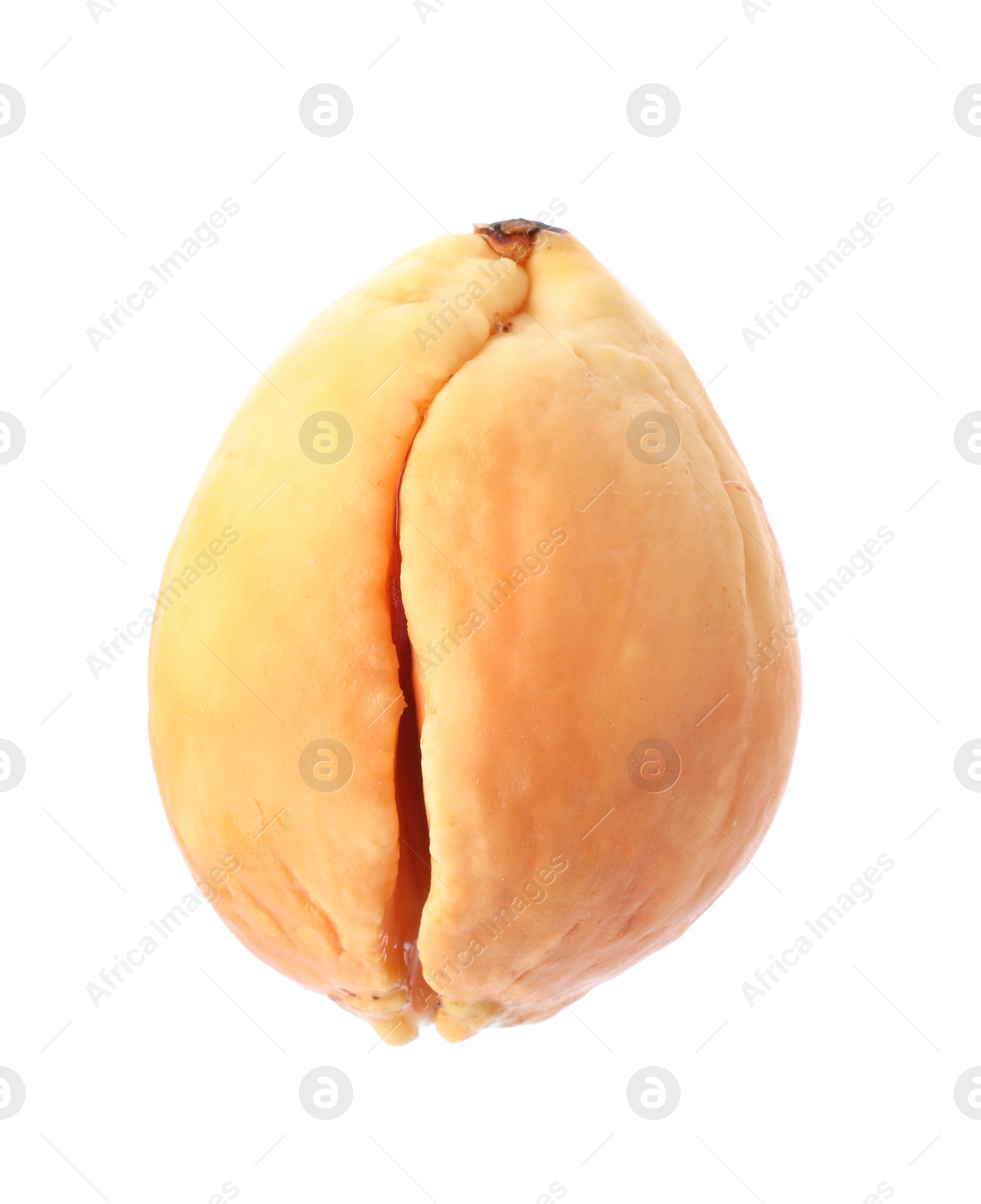 Photo of Small organic avocado pit on white background