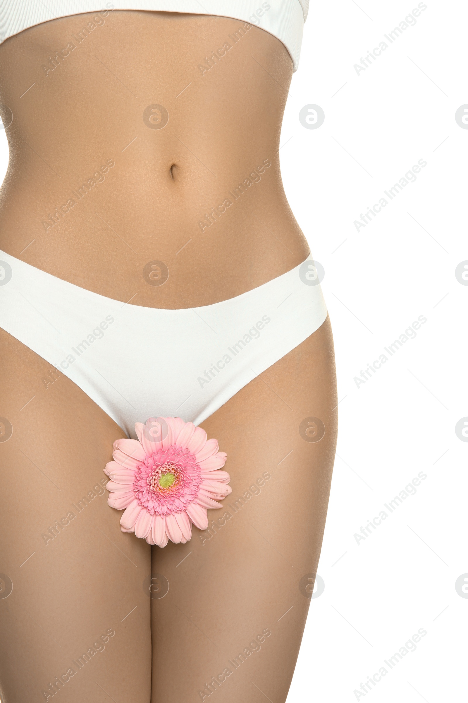 Photo of Gynecology. Woman in underwear with gerbera flower on white background, closeup