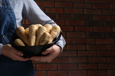 Woman holding bowl with fresh ripe parsnips near red brick wall, closeup. Space for text