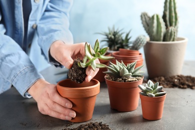 Photo of Woman transplanting home plant into new pot at table, closeup