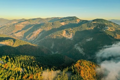 Photo of Beautiful landscape with forest in mountains on sunny day. Drone photography