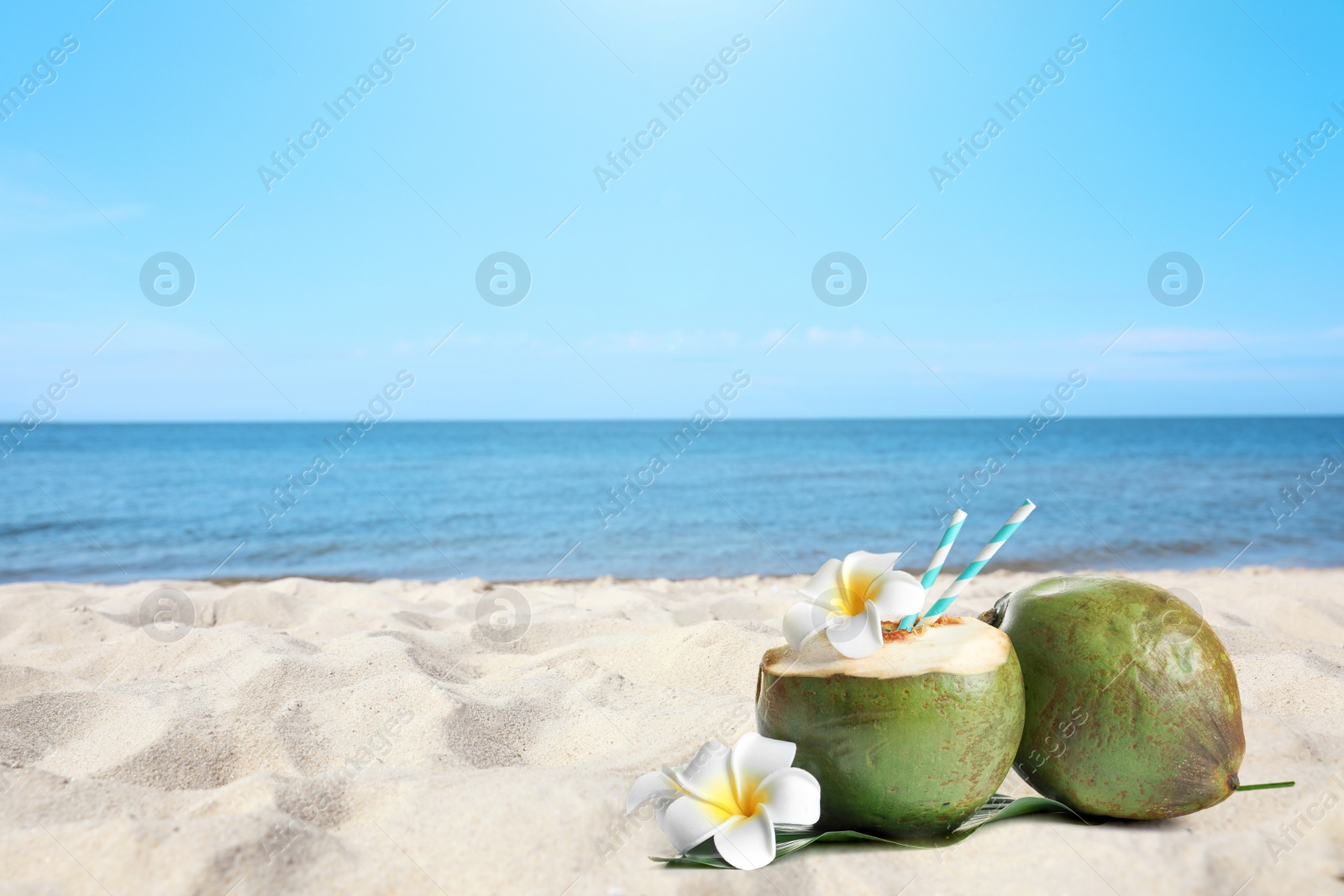 Image of Green coconuts with refreshing drink and flowers on sandy beach near sea, space for text