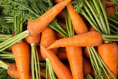 Photo of Fresh ripe carrots as background, top view