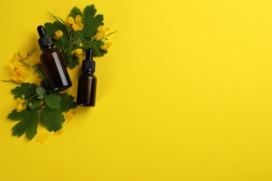 Photo of Bottles of natural celandine oil and flowers on yellow background, flat lay. Space for text