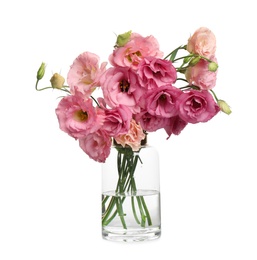 Photo of Beautiful pink Eustoma flowers in vase isolated on white