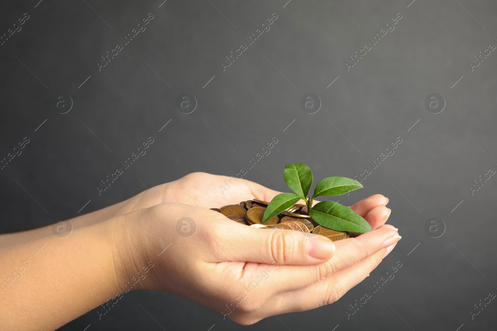 Photo of Woman with coins and green plant on black background, closeup. Money savings