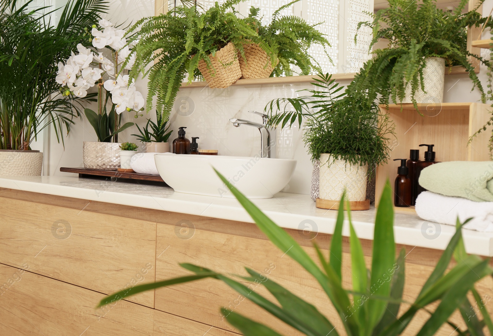 Photo of Counter with sink and many different houseplants near white marble wall