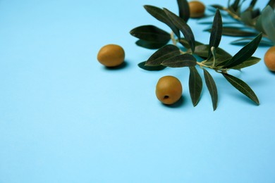 Fresh olives and green leaves on light blue background, closeup. Space for text