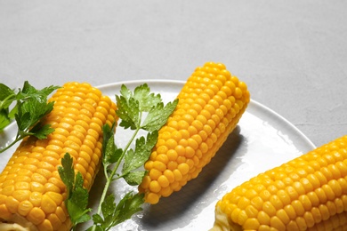 Photo of Plate with ripe corn cobs and parsley on grey background, closeup