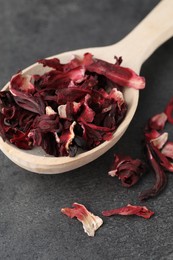 Photo of Hibiscus tea. Wooden spoon with dried roselle calyces on grey table, closeup
