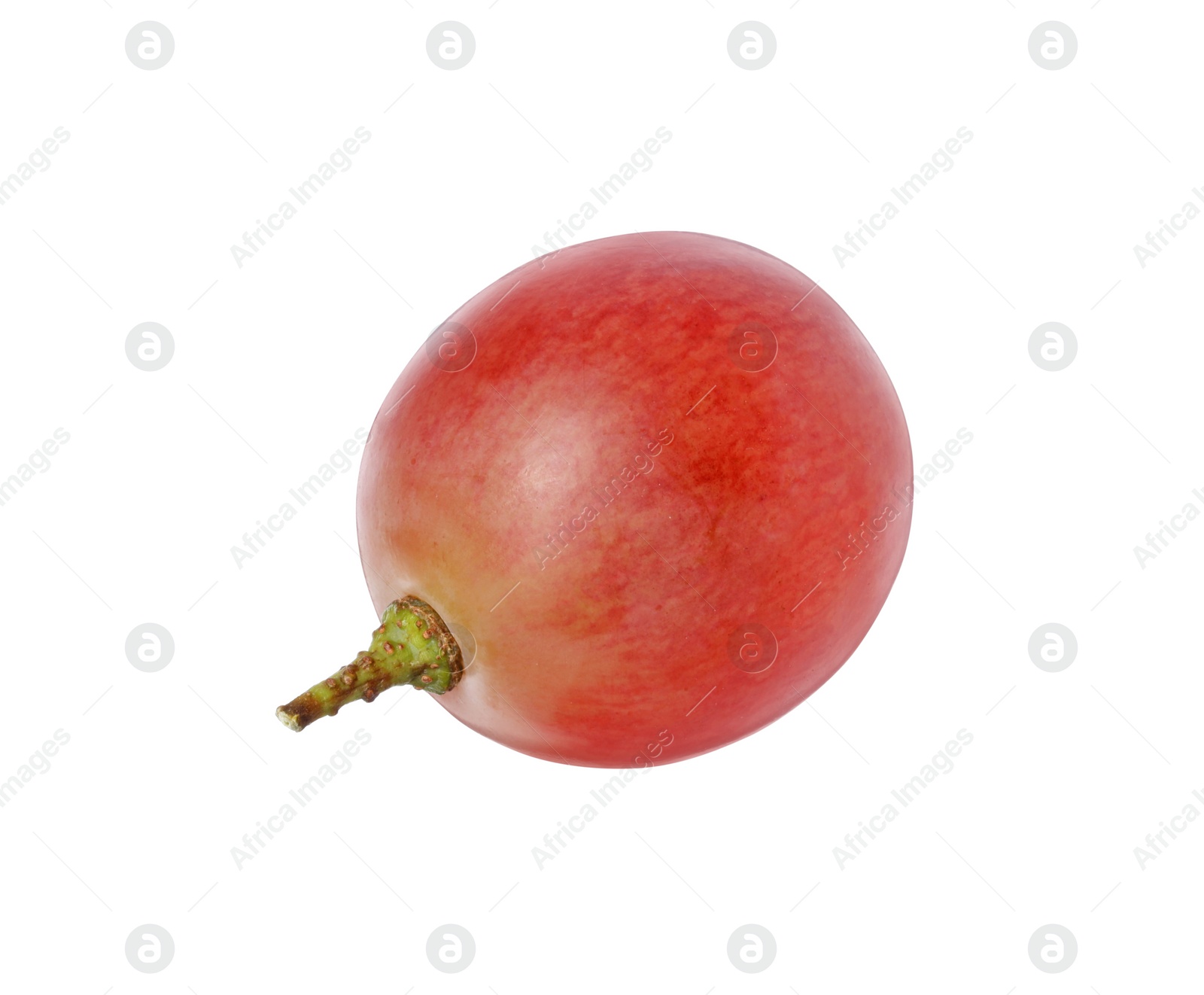 Photo of One ripe red grape isolated on white