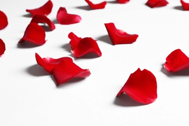 Beautiful red rose petals on white background