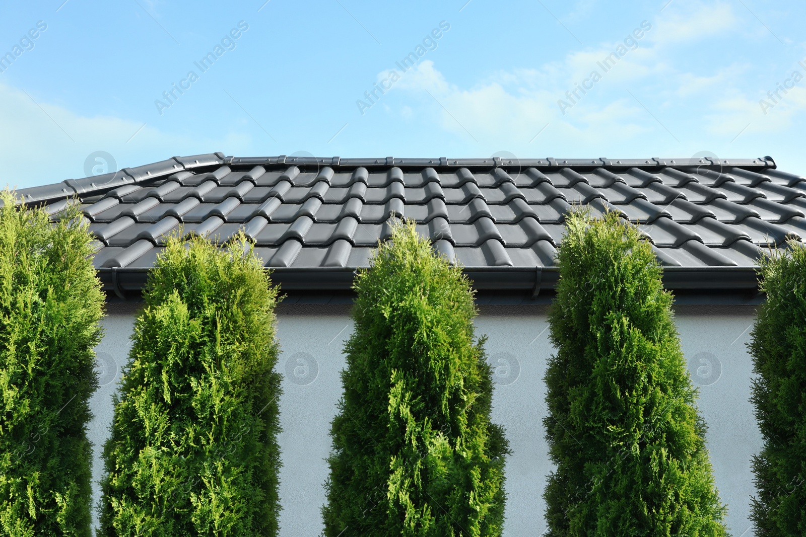 Photo of Modern house with black roof and green trees outdoors on sunny day