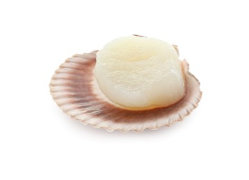 Photo of Fresh raw scallop in shell isolated on white