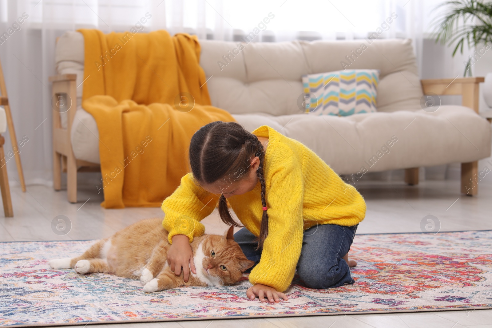 Photo of Little girl petting cute ginger cat on carpet at home