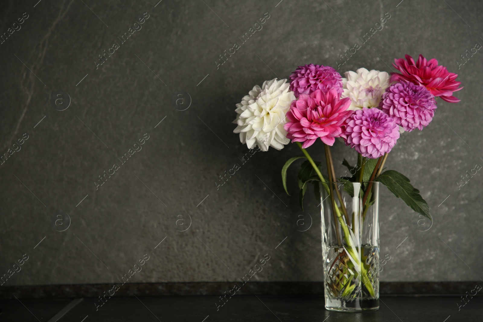 Bouquet of beautiful Dahlia flowers in vase on black table near dark grey textured wall. Space for text Photo of Bouquet of beautiful Dahlia flowers in vase on black table near dark grey textured wall. Space for text