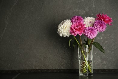 Photo of Bouquet of beautiful Dahlia flowers in vase on black table near dark grey textured wall. Space for text