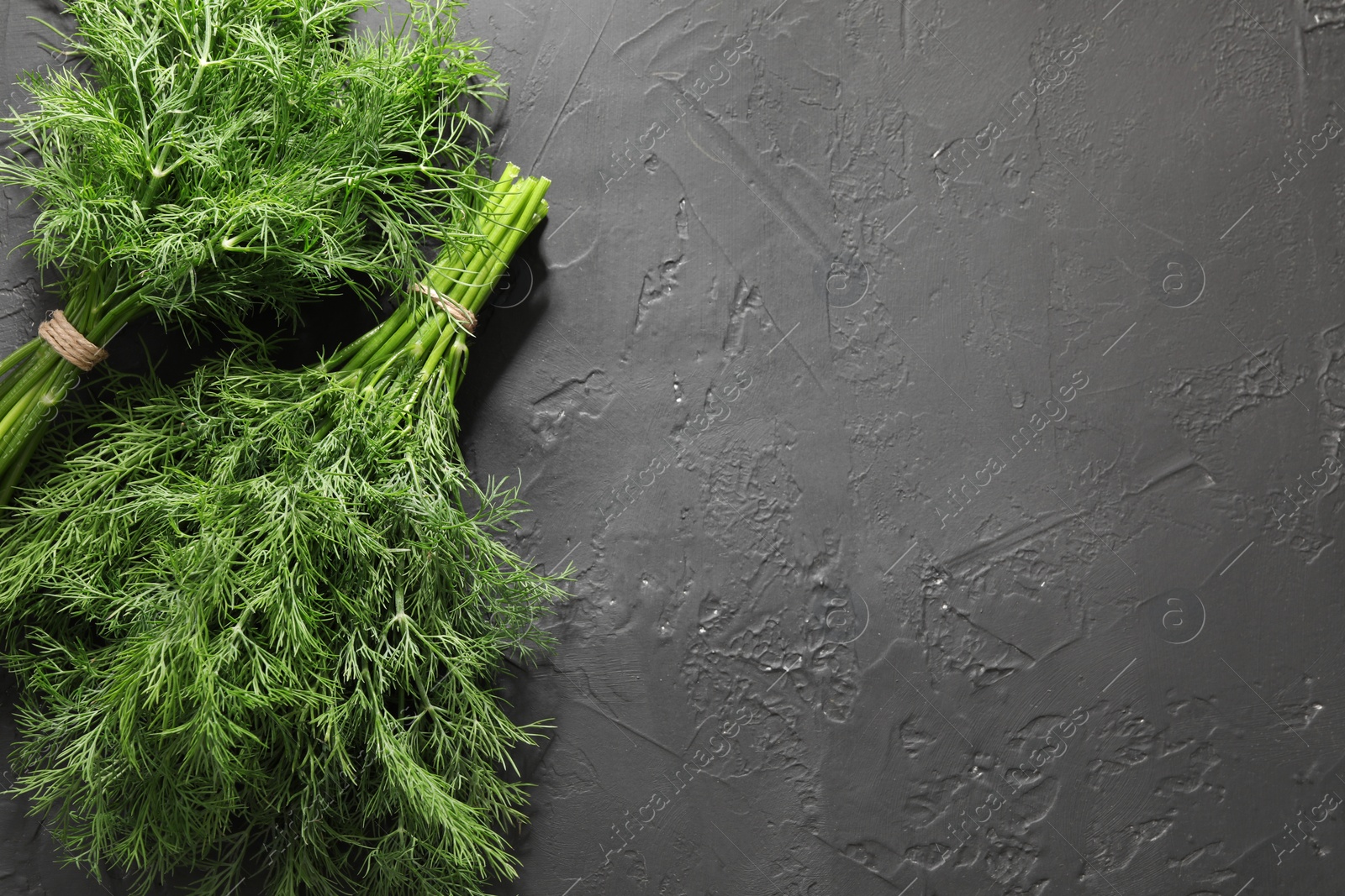 Photo of Bunches of fresh dill on grey textured table, top view. Space for text