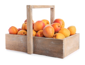 Delicious ripe apricots in wooden crate isolated on white