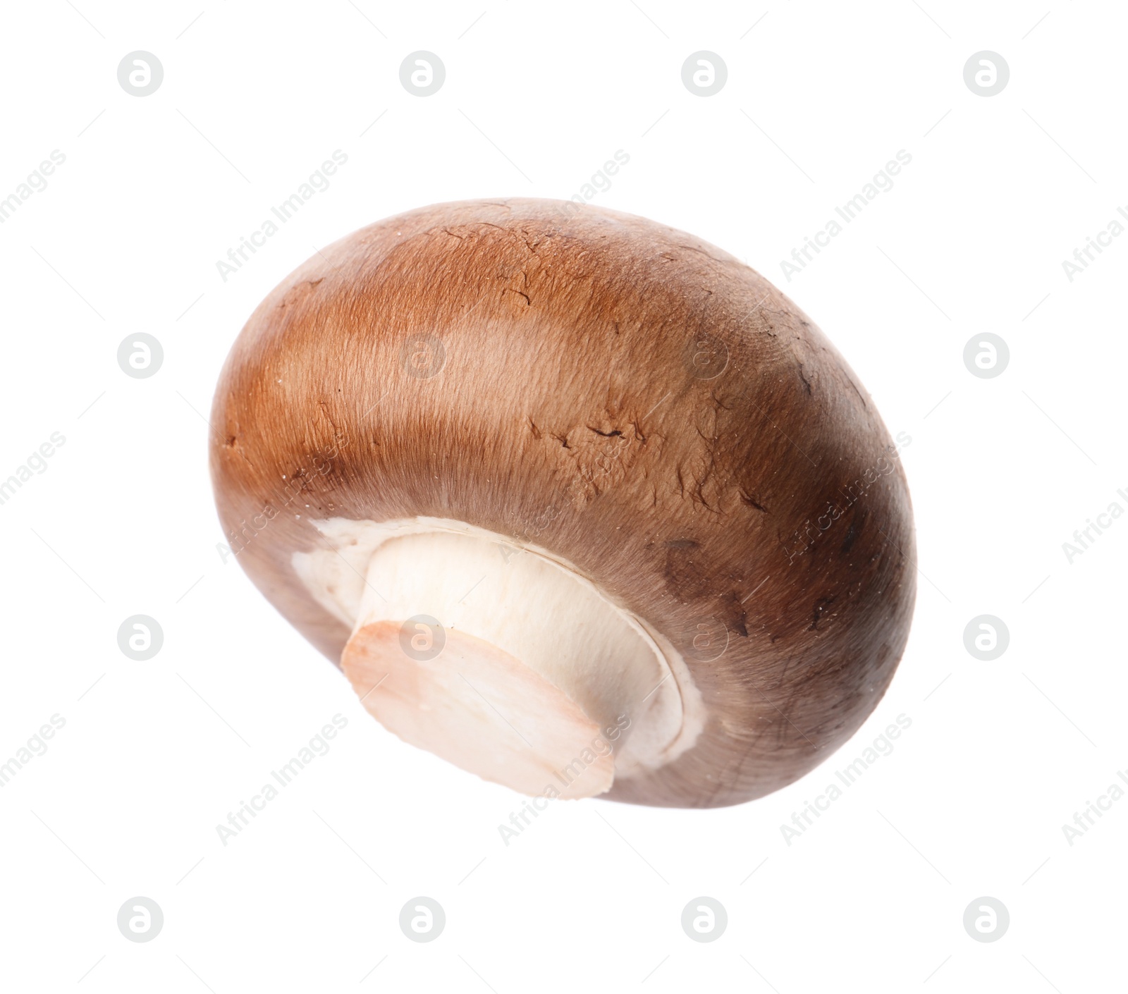 Photo of Fresh champignon mushroom isolated on white. Healthy food