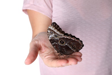 Photo of Woman holding beautiful common morpho butterfly on white background, closeup