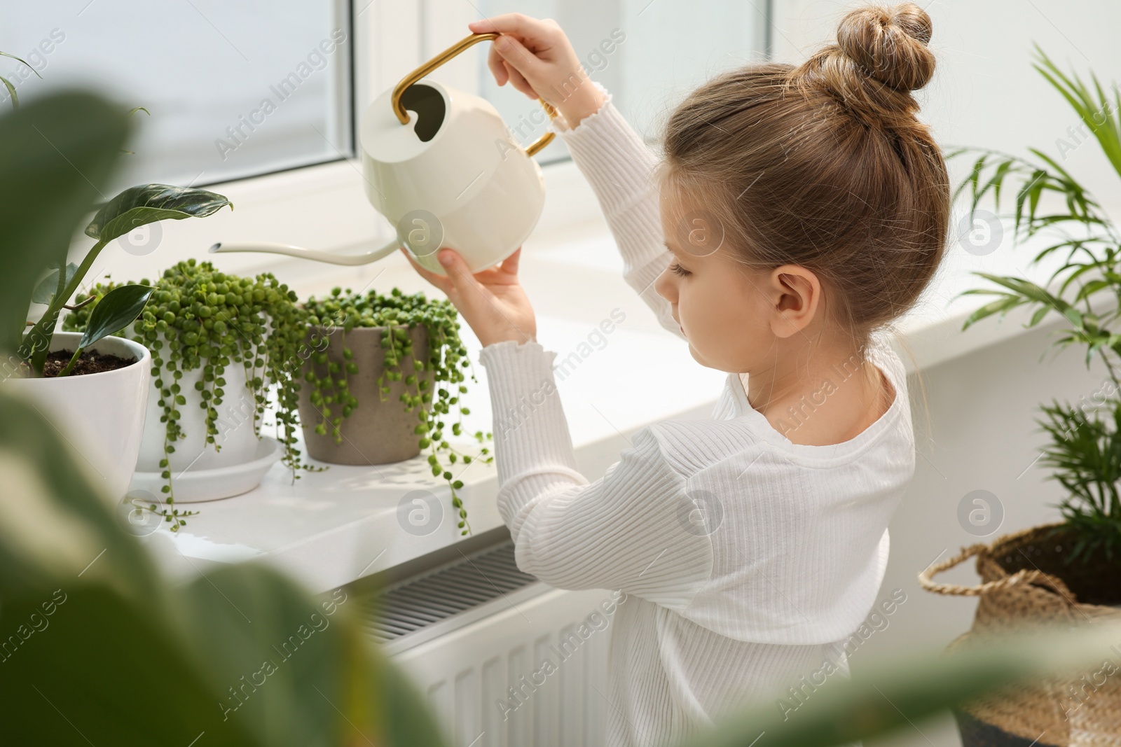 Photo of Cute little girl watering beautiful green plant on windowsill at home. House decor