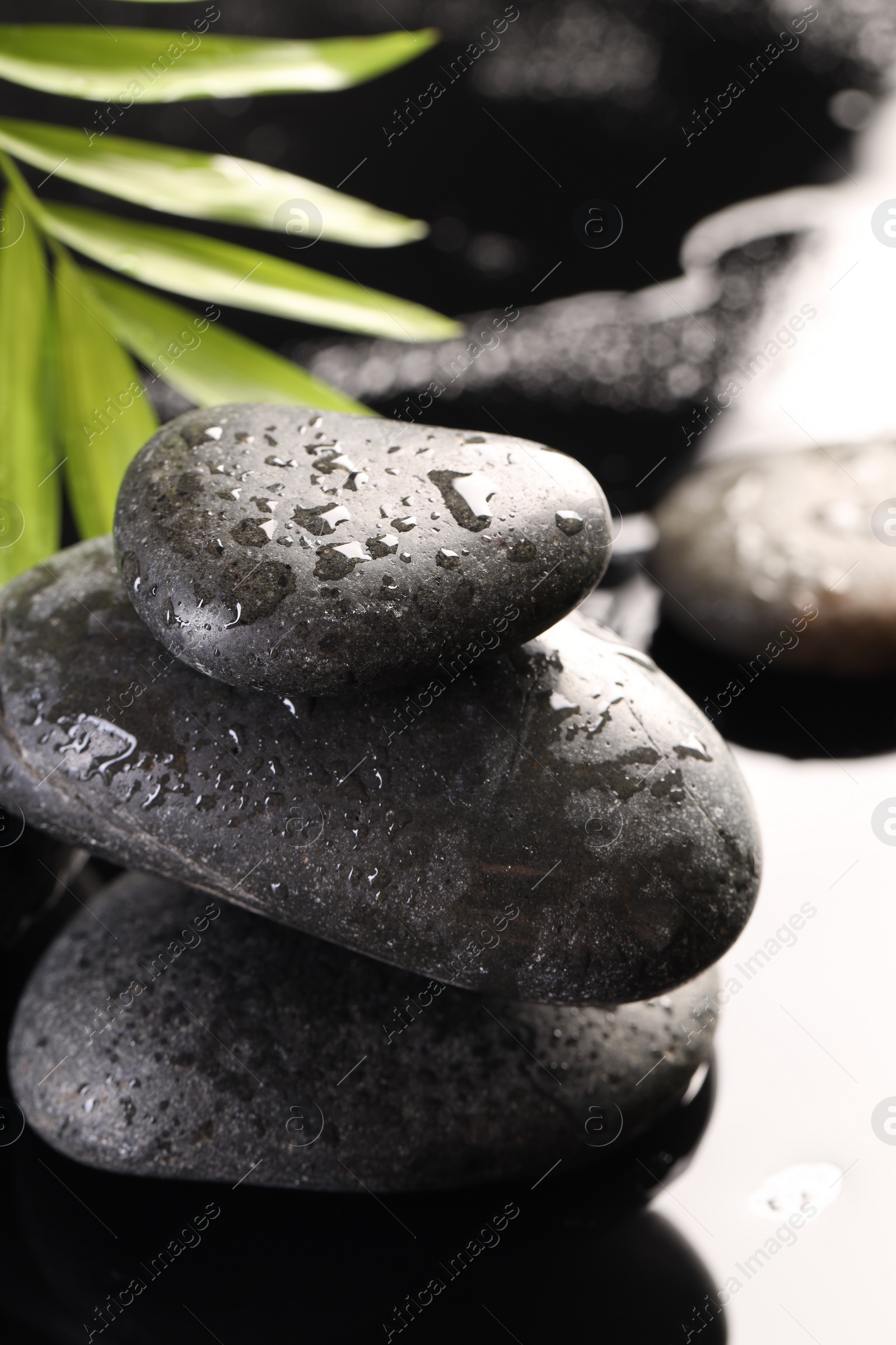 Photo of Wet spa stones and palm leaves in water on light background, closeup