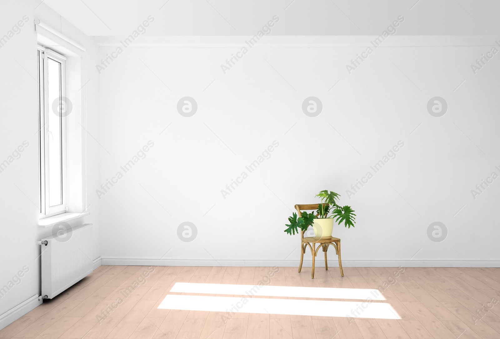 Photo of Living room interior with window and houseplant on chair