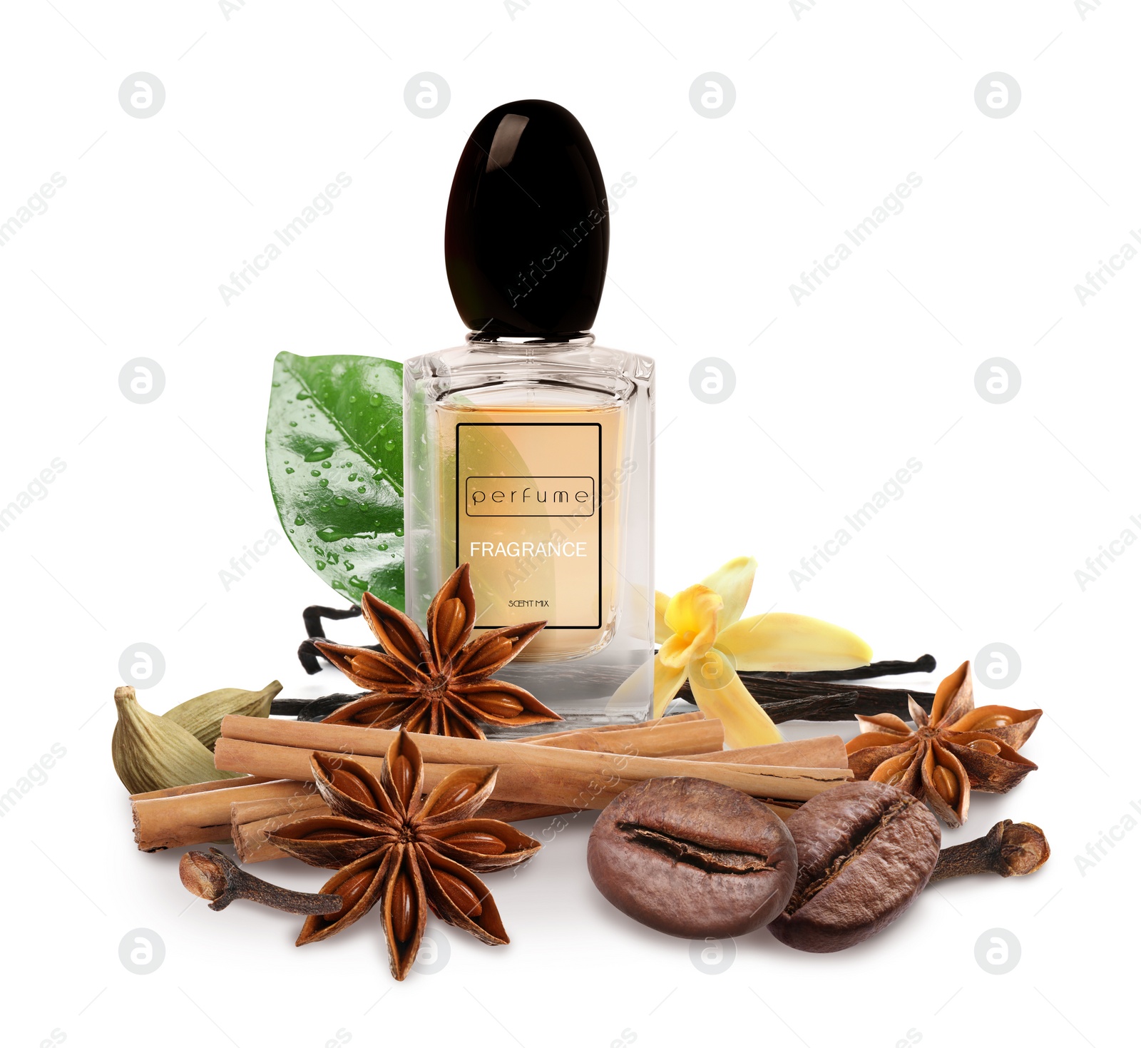 Image of Bottle of perfume and different spices on white background