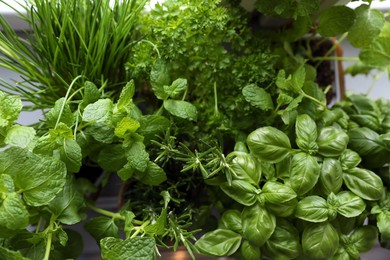 Photo of Different aromatic herbs as background, top view