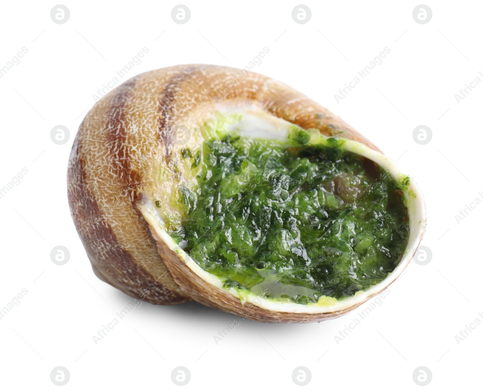 Photo of One delicious cooked snail isolated on white