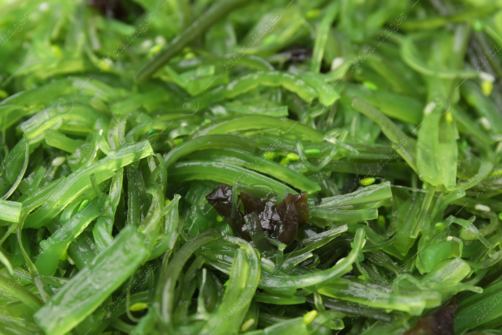 Photo of Tasty seaweed salad as background, closeup view