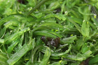 Photo of Tasty seaweed salad as background, closeup view