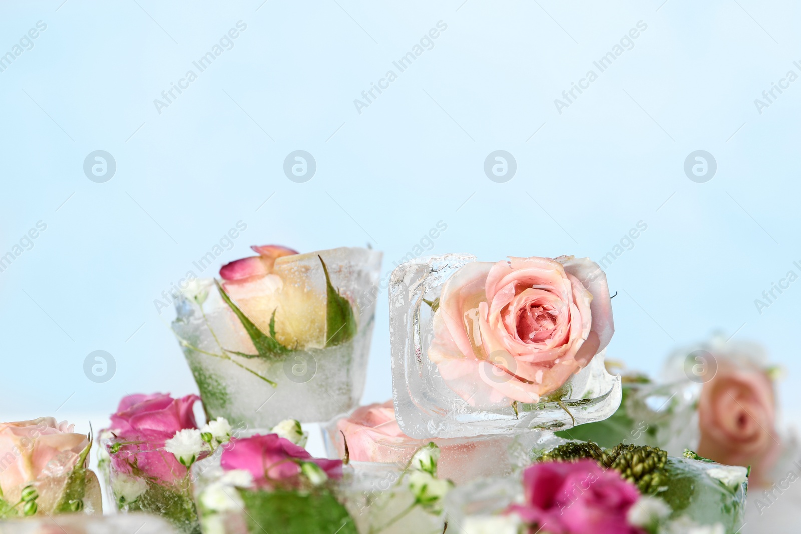 Photo of Ice cubes with flowers on color background, closeup. Space for text