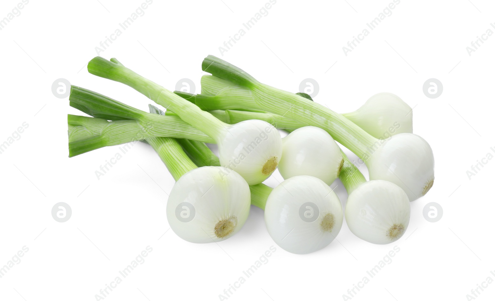 Photo of Whole green spring onions isolated on white