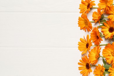 Beautiful fresh calendula flowers on white wooden table, flat lay. Space for text
