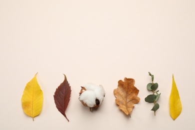 Photo of Flat lay composition with autumn leaves on light background, space for text