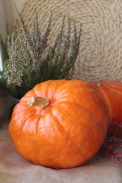 Photo of Pumpkins and beautiful heather flowers on soft blanket, closeup