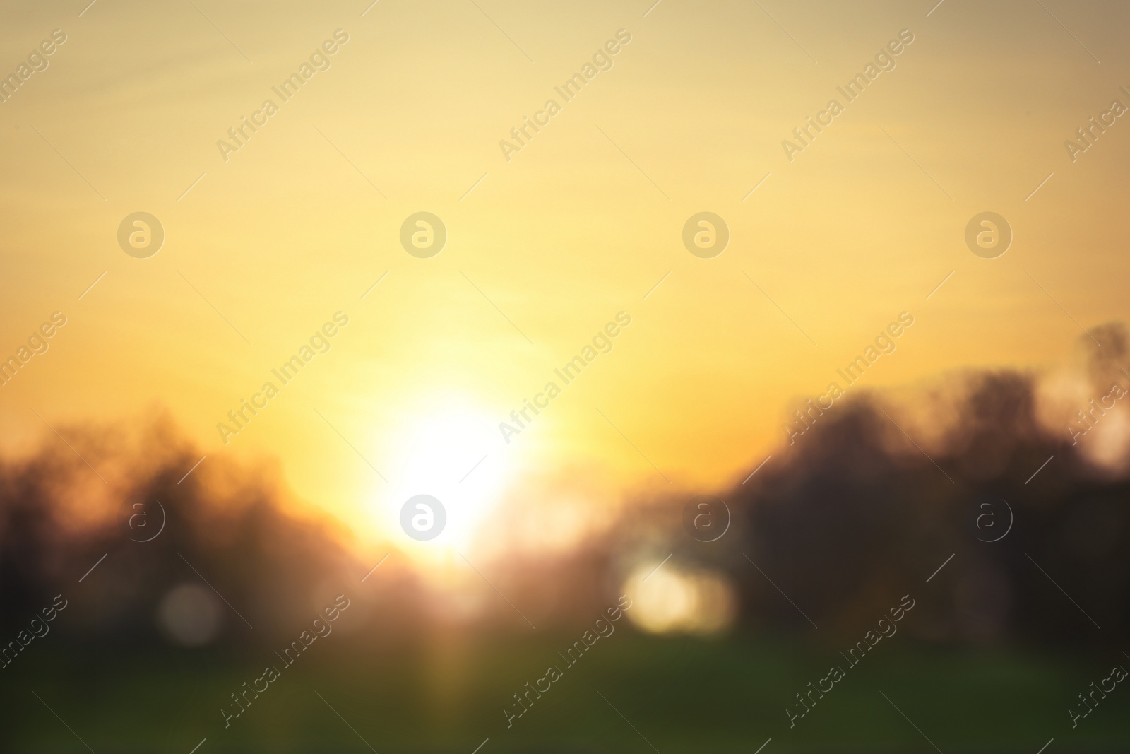 Photo of Blurred view of autumn landscape. Bokeh effect