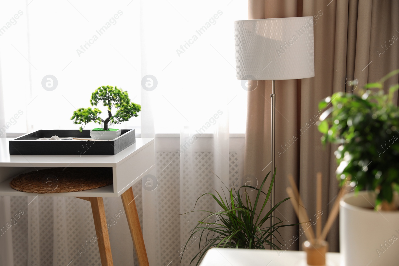 Photo of Beautiful miniature zen garden on white table indoors