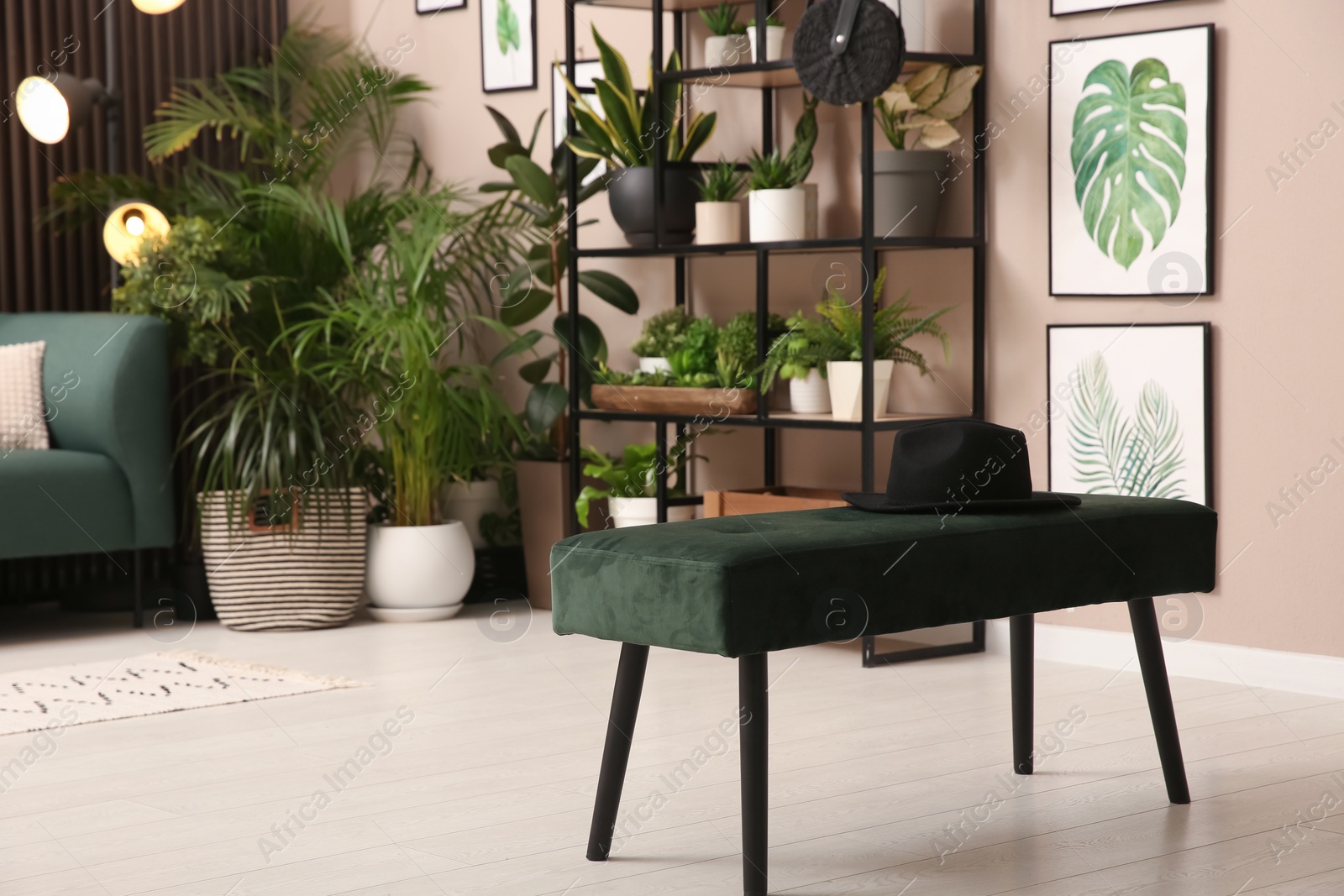 Photo of Stylish room interior with indoor bench and beautiful houseplants