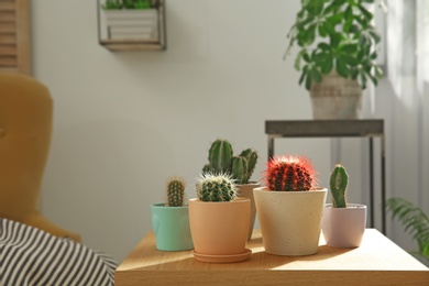 Stylish room interior with beautiful cacti on table